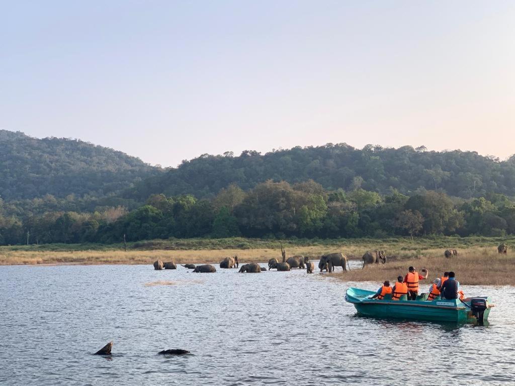 Gal Oya Lake View Inginiyagala Polwatta Eksteriør billede